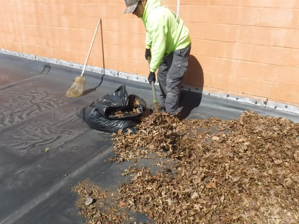Maintenance Program Management 