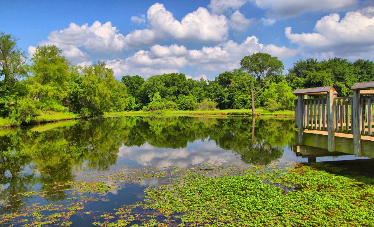 Colleyville, TX