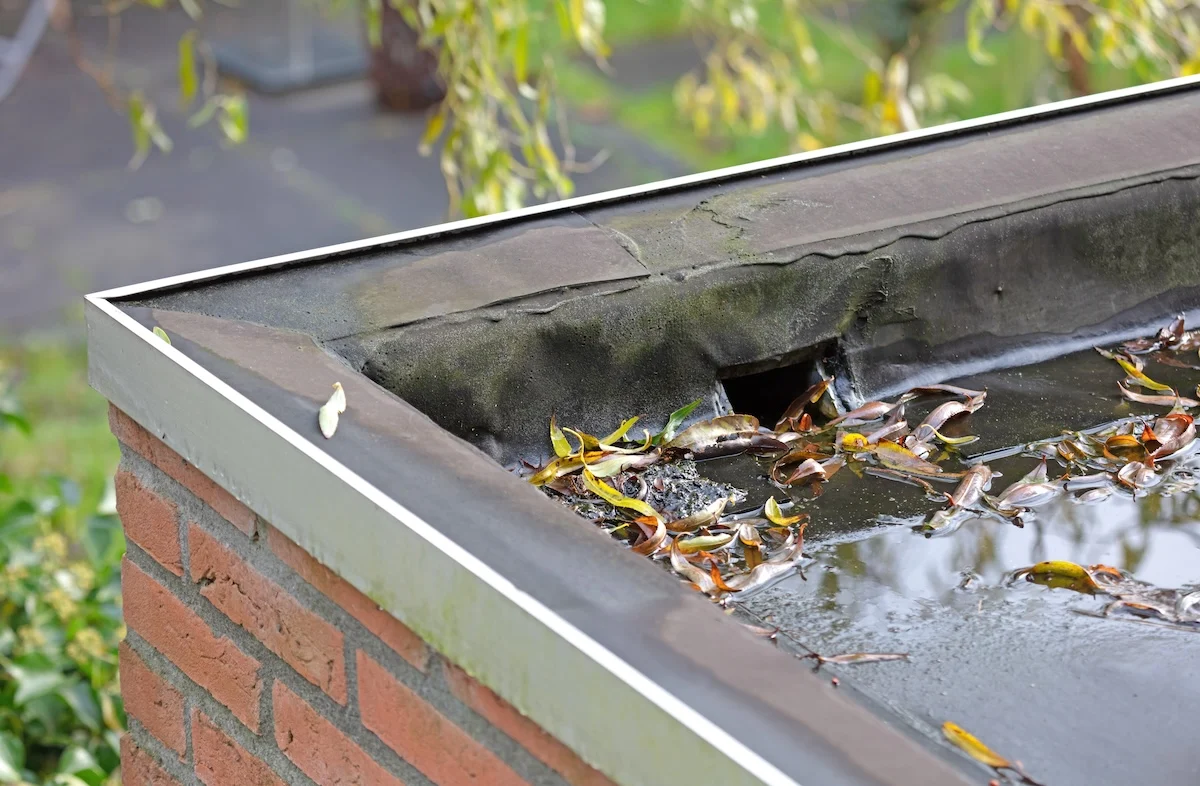 Roof Drain Cleaning & Repair
